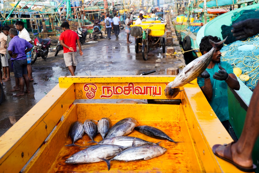 Tonijn bakken: zo maak je het heerlijk mals en smaakvol