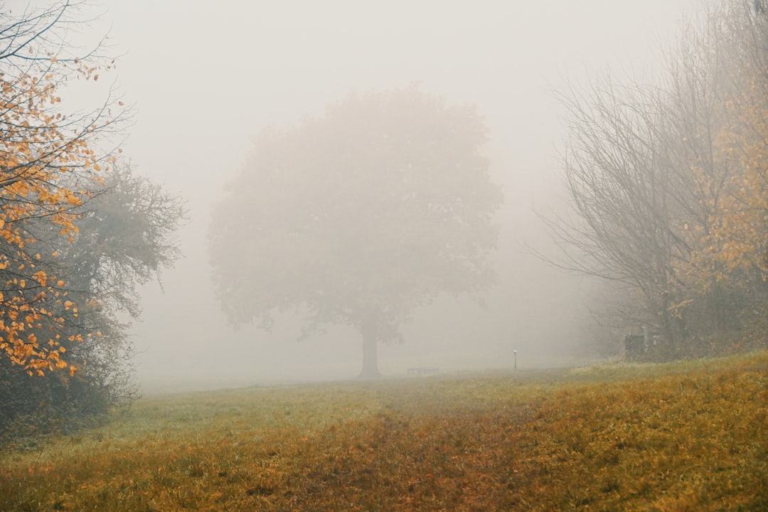 Alles over de seizoenen van The Rookie: een serie vol spanning en stijl